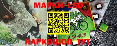 мет Кингисепп
