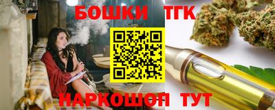 мет Кингисепп