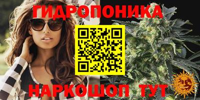 мдпв Кимры