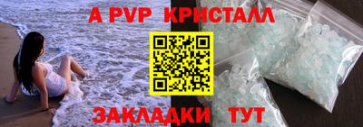 мет Кингисепп